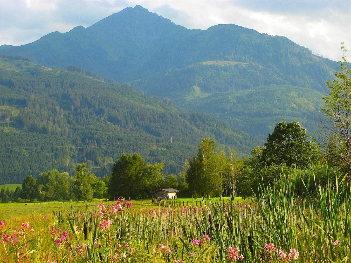 Sonnenhaus A - By Alpen Apartments Zell am See Bagian luar foto